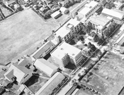大学校地 1950年