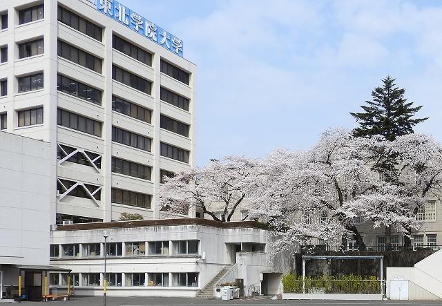 https://www.tohoku-gakuin.jp/info/content/180412-1_1.jpg